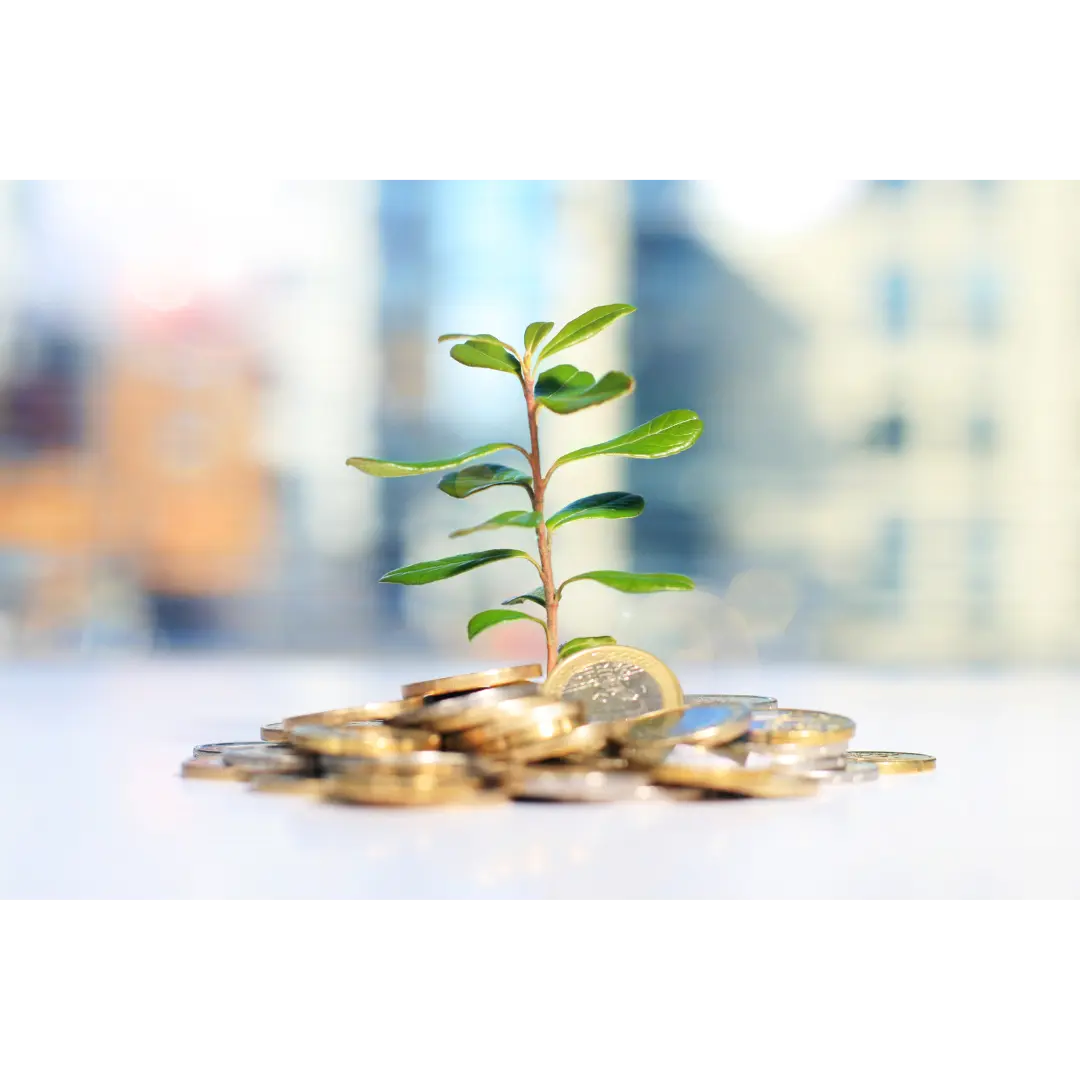 Why you should make art your next sustainable investment