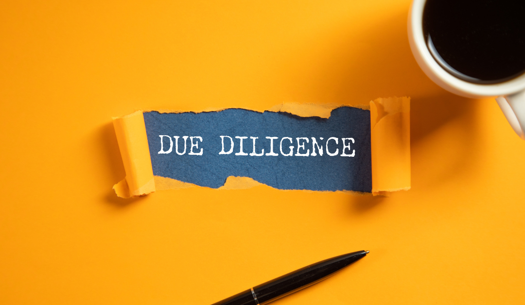 Behind the Scenes at De Pointe Research: Our Due Diligence and Research Methodology